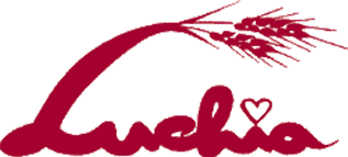 顧客獲得型マーケティング　DX経営変革コンサルティング